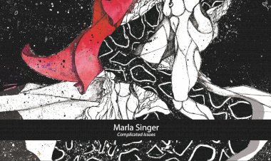 Complicated Issues by Marla Singer