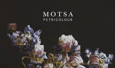 Petricolour Remixed by MOTSA