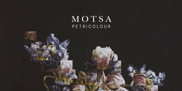 Petricolour Remixed by MOTSA