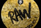 Raw Grooves Vol. 1 by Solid Grooves RAW