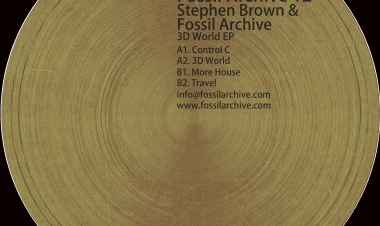 3D World EP by Stephen Brown & Fossil Archive