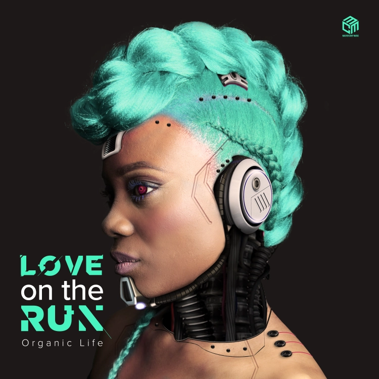 Love On The Run by Organic Life