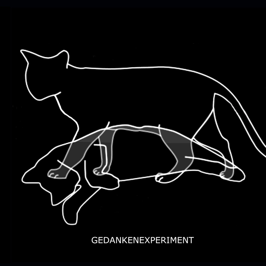 Experiment Defined by Gedankenexperiment