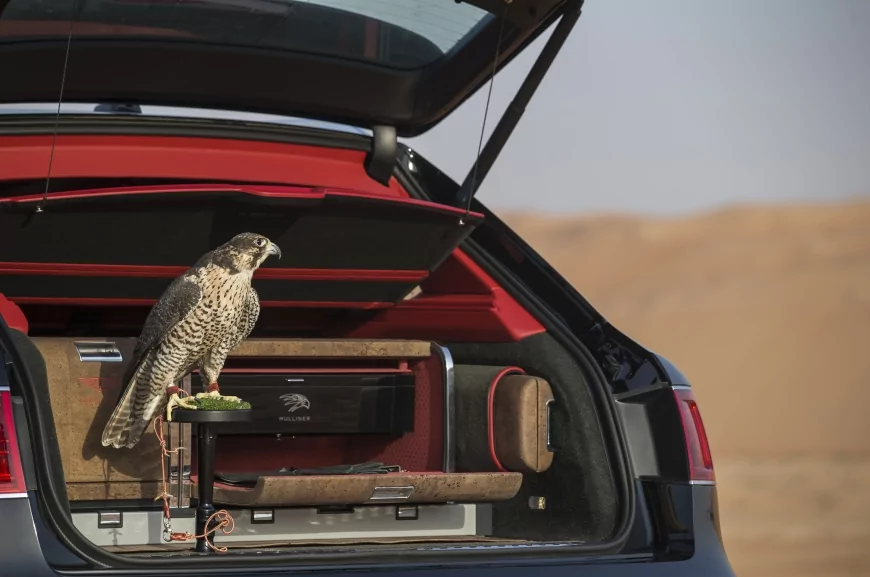 Saker Falcon in a Bentley Bentayga