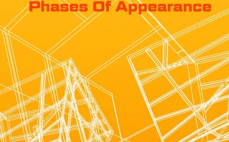 Phases Of Appearance EP by Pushmann