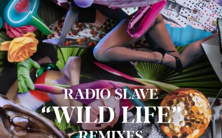 Radio Slave presents Wild Life Remixes