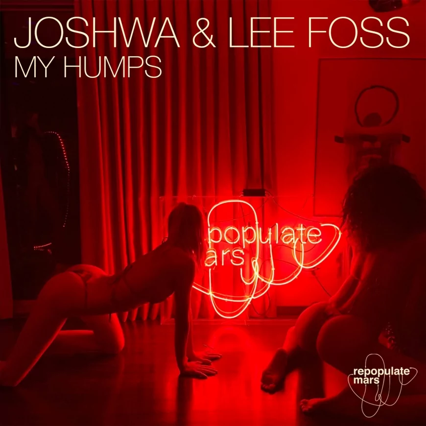 My Humps by Joshwa & Lee Foss