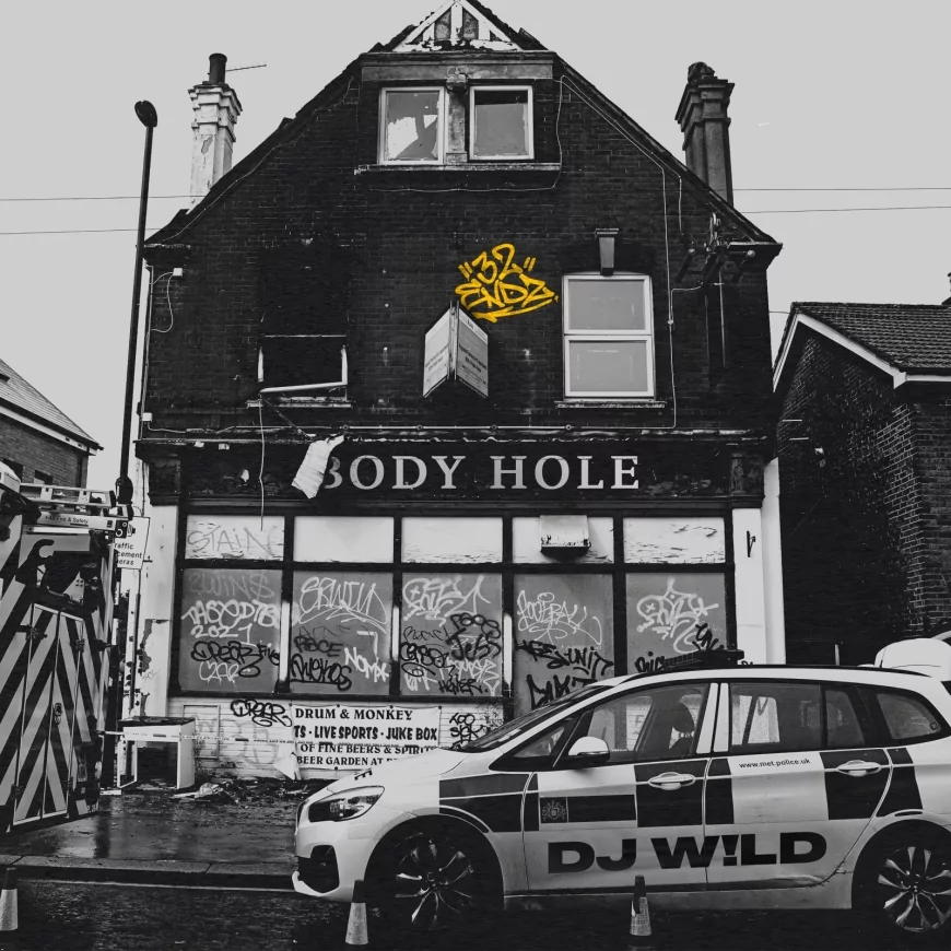 Body Hole by DJ W!LD
