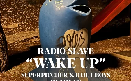 Radio Slave presents Wake Up Remixes