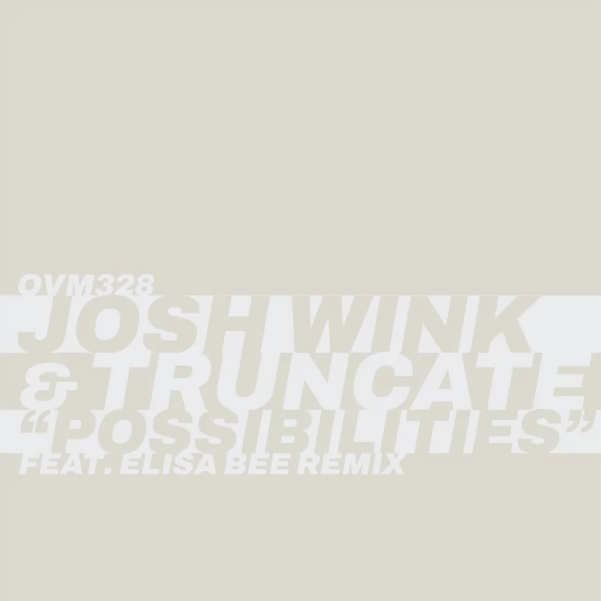 Possibilities by Josh Wink and Truncate
