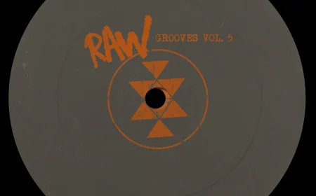Solid Grooves presents Raw Grooves Vol. 5