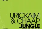 Jungle Storm by Urickaim & Chaap