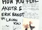 How You Feel by ANOTR & Erik Bandt feat. Leven Kali