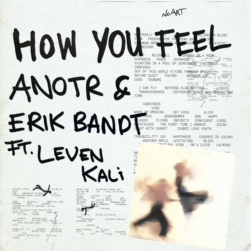 How You Feel by ANOTR & Erik Bandt feat. Leven Kali