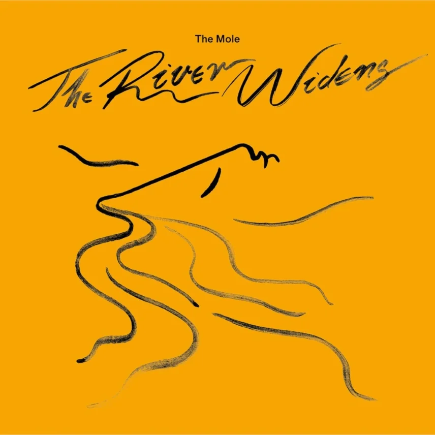 The River Widens by The Mole