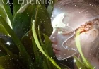 Outer Limits by Repopulate Stars