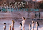 Beauty Sleep (Vintage Culture Remix) by John Summit