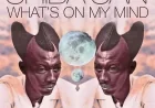 What's On My Mind by Shiba San