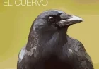 El Cuervo by Endor