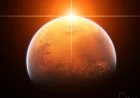 Repopulate Stars Summer Jams by Repopulate Mars