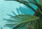 The 2025 Summer Blend Playlist