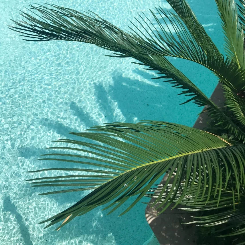 The 2025 Summer Blend Playlist