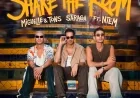 Shake The Room with Miguelle & Tons and Saraga feat. Ntem