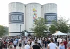 Nuits Sonores 2019