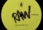 Solid Grooves RAW presents Raw Grooves Vol. 2