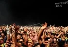 Introducing Terraneo Festival Croatia