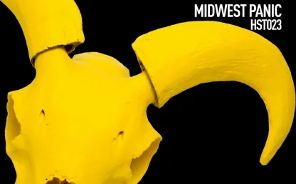 Midwest Panic by Justin Cudmore & Hiroko Yamamura