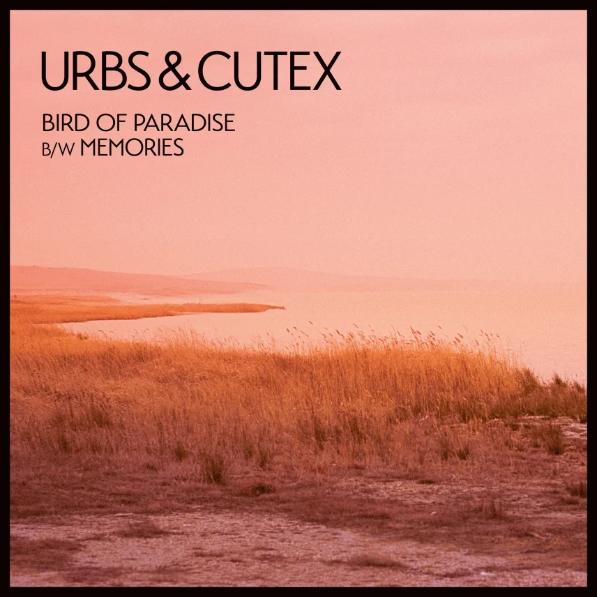 Wherever You Are (feat. T.R.A.C.) + Bird Of Paradise / Memories by Urbs & Cutex